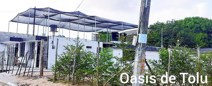 فندق Oasis De Tolú المظهر الخارجي الصورة